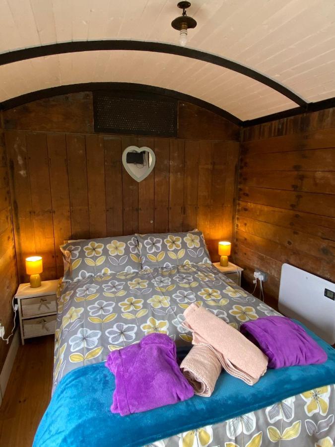 דירות הרפורד Luxury Cosy Carriage With Electric Private Hot Tub מראה חיצוני תמונה
